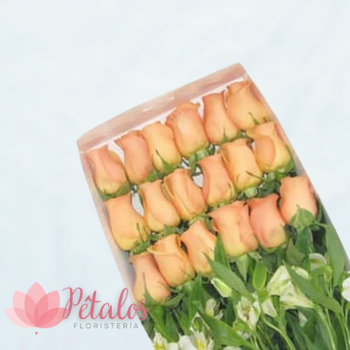 Caja con 18 Rosas Salmón