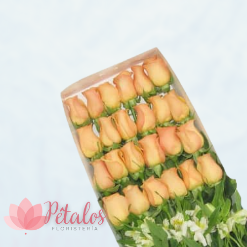 Caja con 24 Rosas Salmón