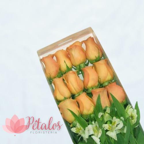 Caja con 12 Rosas Salmón