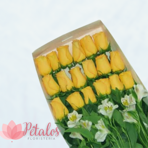 Caja de 24 Rosas Amarillas
