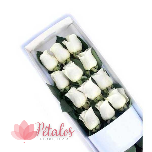 Caja de 12 Rosas Blancas